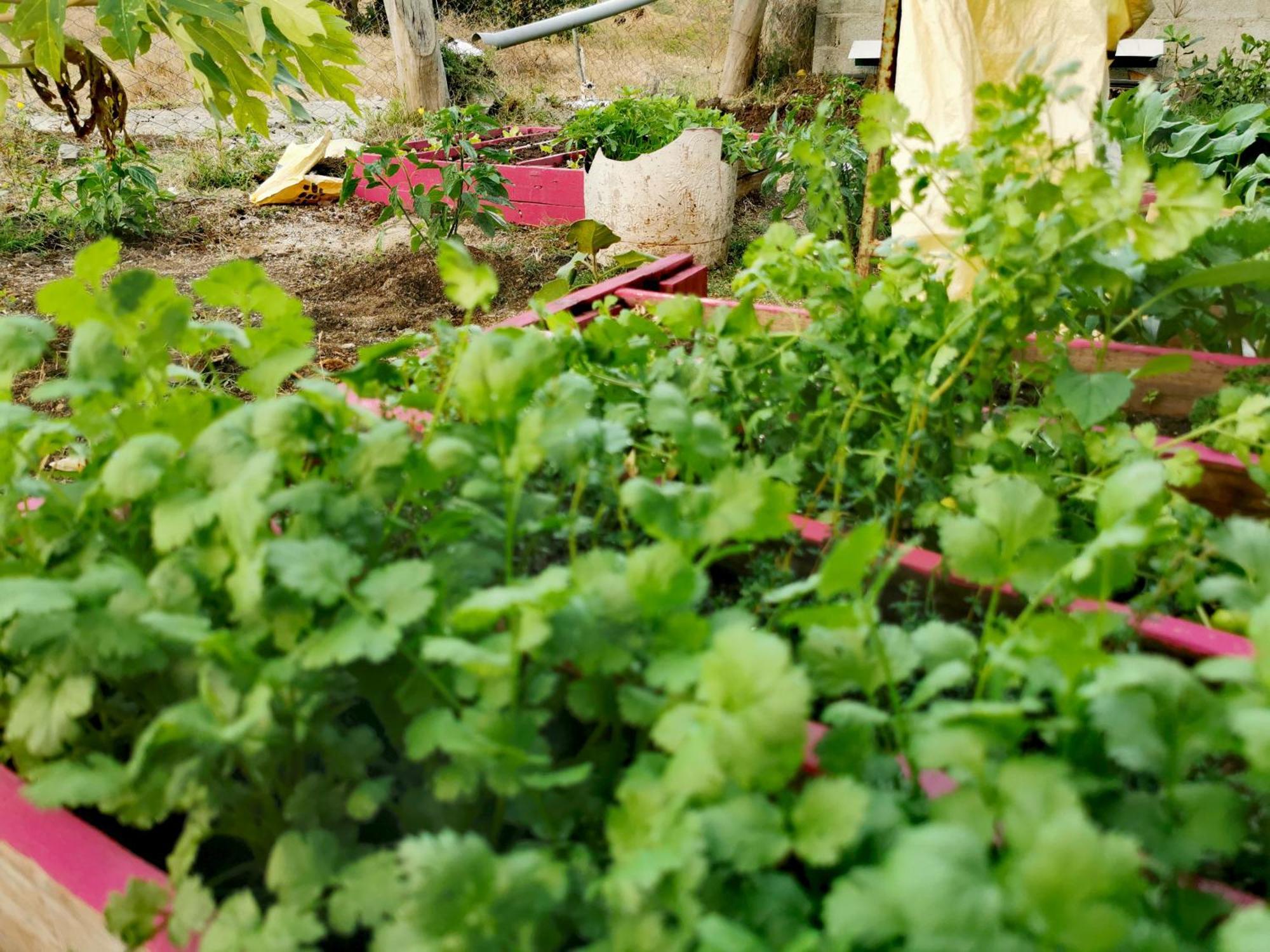 Panoramic Paradise La Ferme Exterior photo